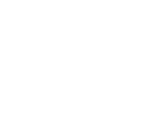 MICH-NEU Coaching Logo